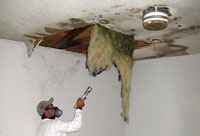 We inspect and test for asbestos and mold, and remediate mold hazards.